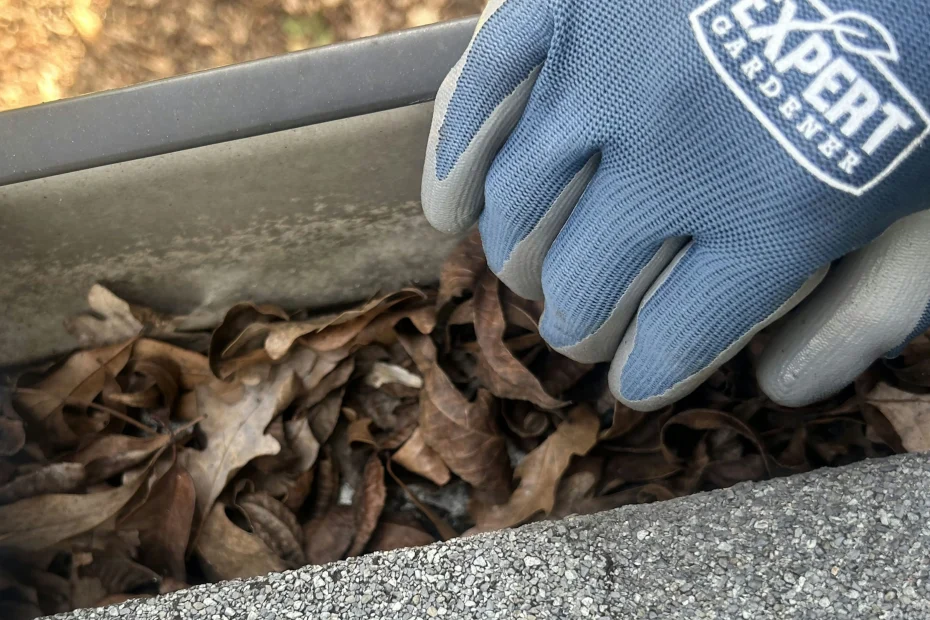 Gutter Cleaning Marshall