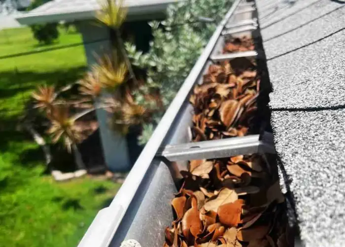 Gutter Cleaning Marshall home page